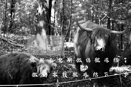 信用卡逾期微信被冻结了怎么办理(欠信用卡微信零钱被冻结下一步是什么)