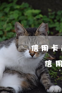 信用卡逾期微信被凍結(jié)了多久起訴(信用卡逾期微信被凍結(jié)了多久起訴我)