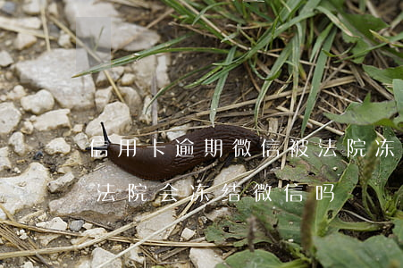 信用卡逾期微信被法院冻结解封吗(欠信用卡法院会冻结微信吗)