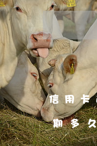 信用卡逾期微信說要上門(信用卡5000逾期多久會找上門)