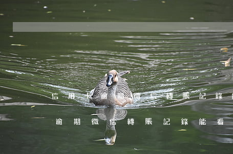 信用卡逾期微信轉賬記錄能看到嗎-信用卡逾期微信轉賬記錄能看到嗎安全嗎