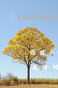 信用卡逾期微信通知(信用卡逾期微信通知我案件材料已经下来了)