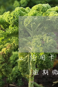 信用卡逾期微信還不進去了怎么辦-信用卡逾期微信還不進去了怎么辦呢