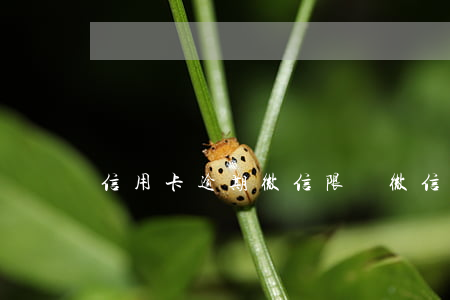 信用卡逾期微信限額(微信說信用卡超出限額)