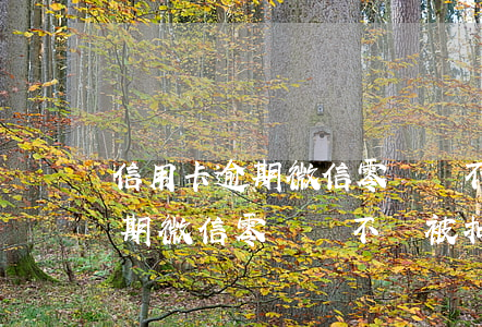 信用卡逾期微信零錢會不會被扣走(信用卡逾期微信零錢會不會被扣走)