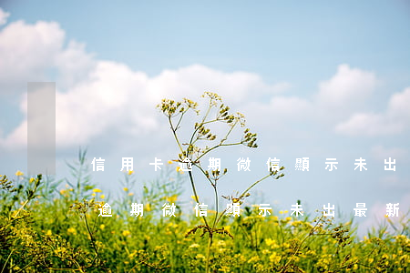 信用卡逾期微信顯示未出最新賬單-信用卡逾期微信顯示未出最新賬單怎么回事