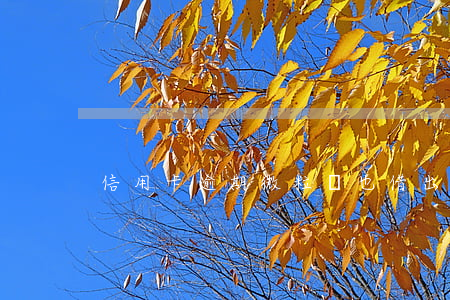 信用卡逾期微粒貸也借出來(lái)了