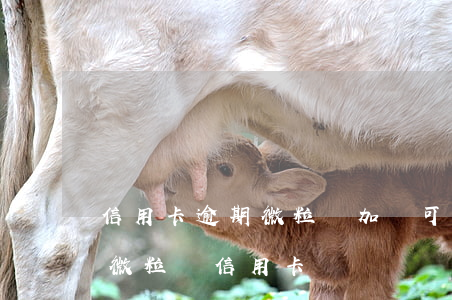信用卡逾期微粒貸加貸可以做么-如果不還微粒貸信用卡