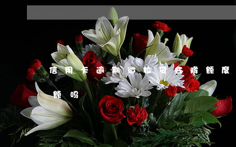 信用卡逾期微粒贷会降额度(微粒贷逾期会降额吗)