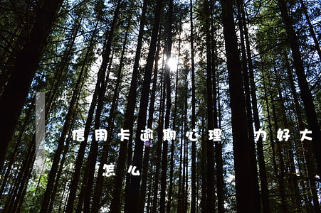 信用卡逾期心理壓力好大 如果說信用卡逾期會怎么樣