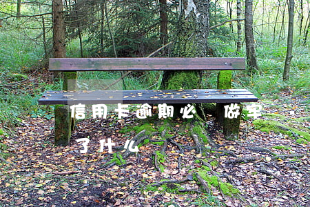 信用卡逾期必須做牢嗎-因坐牢信用卡逾期了什么辦