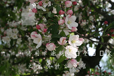 信用卡逾期必須全還嗎(欠信用卡逾期后還清之后有什么危害)