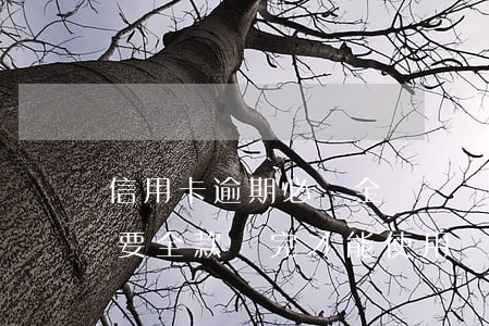 信用卡逾期必須全額還嗎(信用卡逾期是不是要全款還完才能使用)