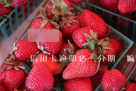 信用卡逾期必須分期還嘛