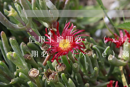 信用卡逾期必須協(xié)商嗎(信用卡逾期必須協(xié)商嗎嗎)