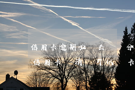 信用卡逾期必須去開戶分行還嗎(逾期封卡的信用卡還清還可以開卡嗎?)