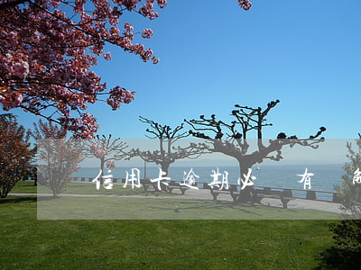 信用卡逾期必須有諒解書(信用卡逾期聲明書)