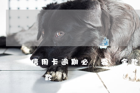 信用卡逾期必須要還全款(什么是信用卡逾期還款)