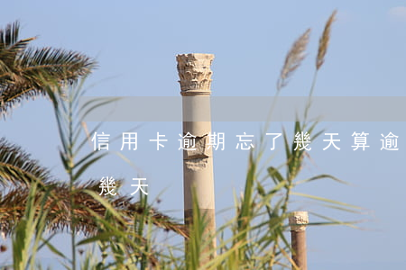 信用卡逾期忘了幾天算逾期（信用卡逾期忘了幾天）
