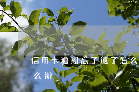 信用卡逾期忘了還了怎么辦(忘記還信用卡怎么辦)