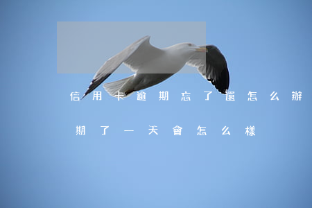 信用卡逾期忘了還怎么辦(信用卡忘記還了逾期了一天會怎么樣)