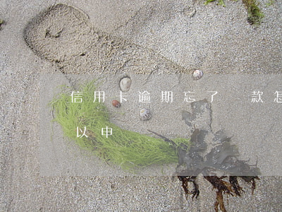 信用卡逾期忘了還款怎么辦(信用卡逾期了可以申訴嗎)