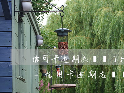 信用卡逾期忘記還了5個(gè)月怎么辦-信用卡逾期忘記還了5個(gè)月怎么辦呢