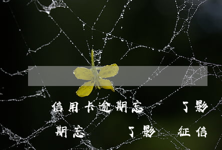 信用卡逾期忘記還了影響征信嗎-信用卡逾期忘記還了影響征信嗎