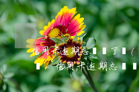 信用卡逾期忘記還了會(huì)影響征信嗎-信用卡逾期忘記還了會(huì)影響征信嗎怎么辦