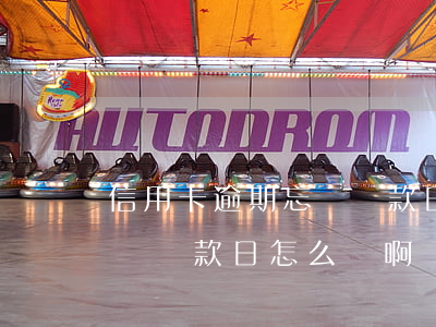 信用卡逾期忘記還款日怎么辦(信用卡逾期忘記還款日怎么辦啊)