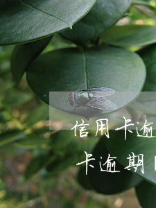 信用卡逾期忘記還款會影響信用(忘記還信用卡逾期幾天會影響貸款嗎)