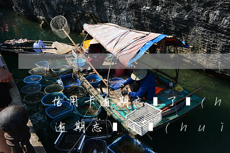 信用卡逾期忘還了會(huì)怎樣(信用卡逾期忘還了會(huì)怎樣)