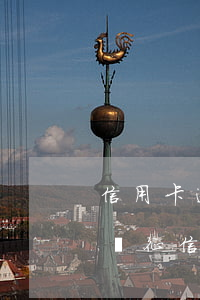 信用卡逾期忘還影響征信嗎(忘記還信用卡影響征信嗎)