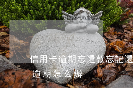 信用卡逾期忘還款(忘記還信用卡 一周后還上逾期怎么辦)