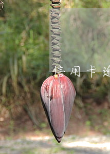 信用卡逾期快3年了(信用卡3千逾期兩年)