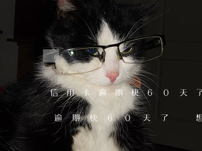 信用卡逾期快60天了剛想起來還-信用卡逾期快60天了剛想起來還能用嗎