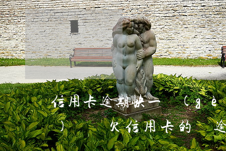 信用卡逾期快一個(gè)月了沒(méi)錢還(欠信用卡的錢逾期了每個(gè)月還一點(diǎn)可以嗎)