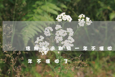 信用卡逾期快一年不催收了(信用卡逾期快一年不催收了)