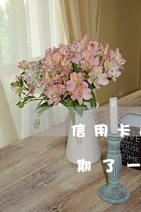 信用卡逾期快一年啦怎么辦 好幾張信用卡逾期了一年