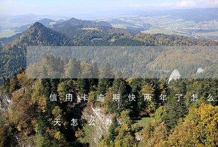 信用卡逾期快两年了怎么办(信用卡逾期两三天怎么办)