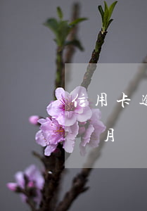 信用卡逾期快五個月了(欠信用卡5千逾期三個月)