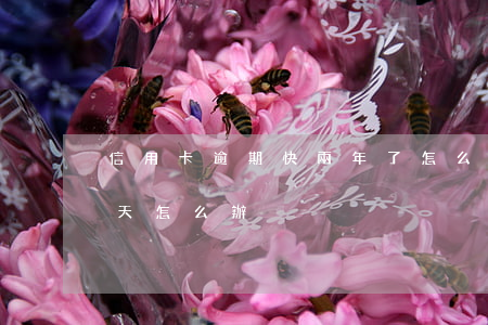 信用卡逾期快兩年了怎么辦(信用卡逾期兩三天怎么辦)