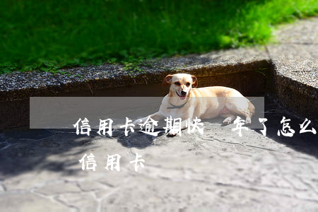 信用卡逾期快兩年了怎么辦(逾期兩年還能辦信用卡嗎)