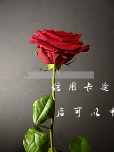 信用卡逾期快兩年了怎么還款(逾期還清兩年后可以申請信用卡嗎)