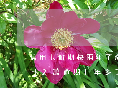 信用卡逾期快兩年了還不上怎么辦(工商信用卡2萬逾期1年多了沒還上怎么辦)