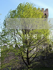 信用卡逾期快到一個(gè)月 逾期一個(gè)月還能申請(qǐng)信用卡嗎