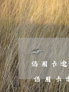 信用卡逾期快生了沒還 現(xiàn)在我信用卡逾期未還