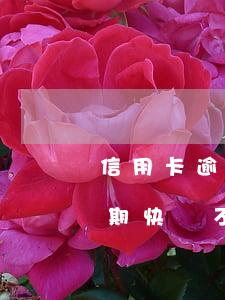 信用卡逾期快貸不能申請信用卡-信用卡逾期快貸不能申請信用卡嗎