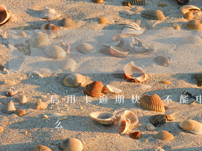 信用卡逾期快貸不能申請表(銀行快貸逾期怎么辦)