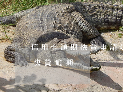 信用卡逾期快貸申請(qǐng)失敗(銀行快貸逾期)